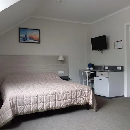 гірська тиса