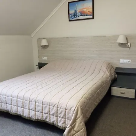 гірська тиса Hotel